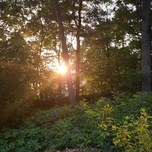 Meet your Posher, Aj